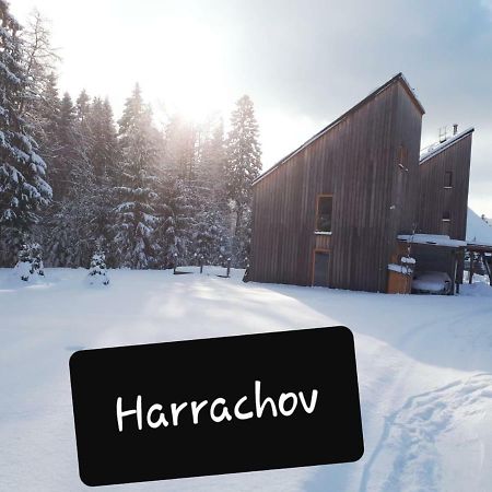 Chalet Harrachov Bagian luar foto