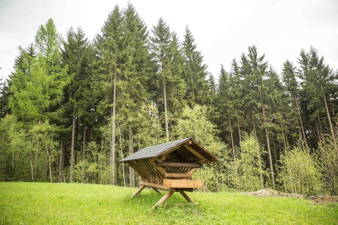 Chalet Harrachov Bagian luar foto