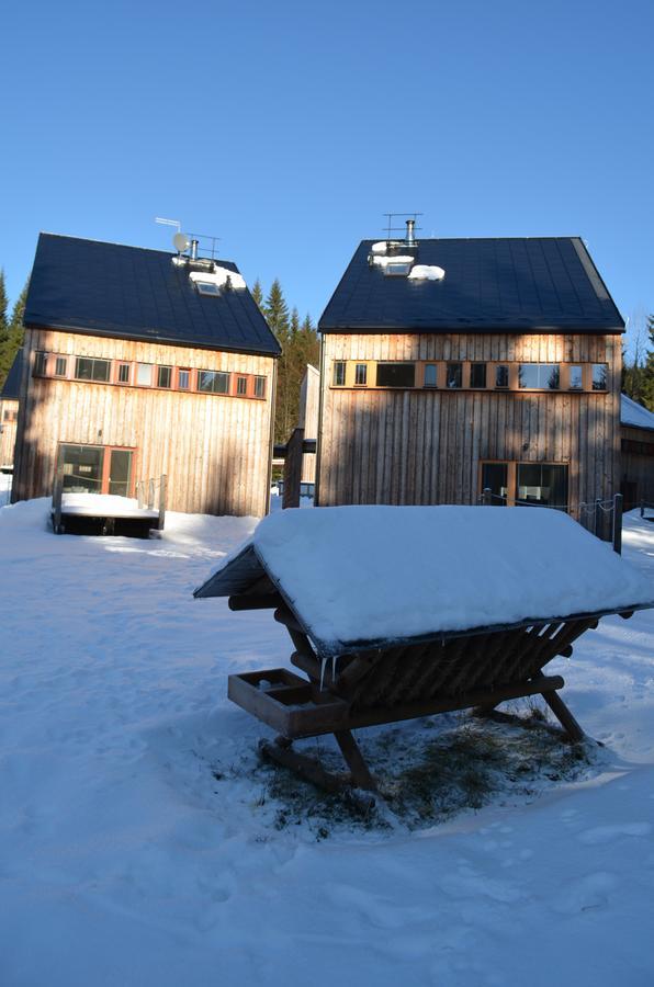 Chalet Harrachov Bagian luar foto