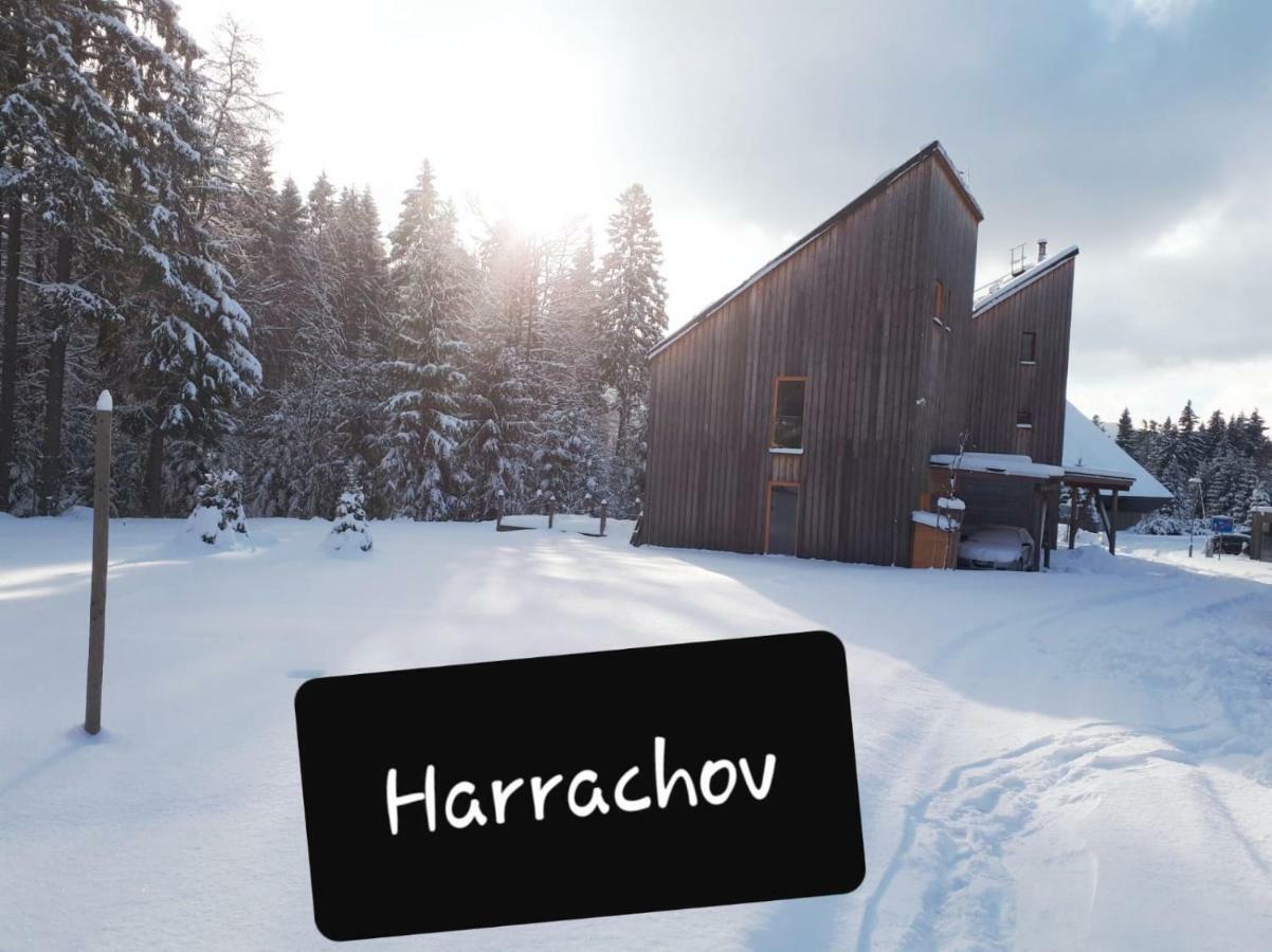 Chalet Harrachov Bagian luar foto